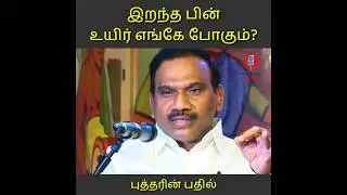 இறந்த பின் உயிர் எங்கே போகும்? #shorts #arajaspeech #buddha #death #tamil #tamilspeechbytes #araja