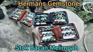 Stok Bacan Gulao dan Mejiko Melimpah, Harga #Murah dengan kualitas Top. #Gulao_Mejiko #Palamea #Pido