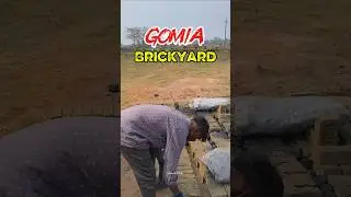 Gomia Brickyard | ईंटा भट्टा | Brick Bhattha Business #dailyvlog #minivlog #brickyard