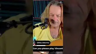 Vincent by Don McLean # Brian Cristopher ( your Online Busker )