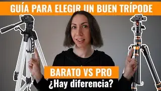 Tr&iacute;pode Barato vs Pro | Gu&iacute;a para elegir el tr&iacute;pode adecuado | Amazon Basic vs K&F Concept