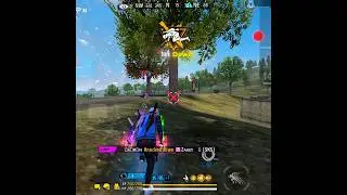 #halo