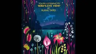 Bird's-Eye View by Rural Tapes