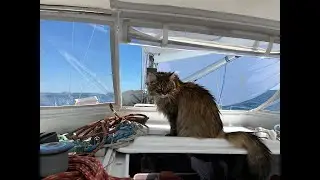 Downwind Cruising Sails