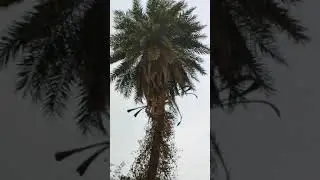 nature #avikacreation #feeling #sad_wtsapp_status