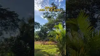 o Tempo de Deus e diferendo nosso tempo 🙏