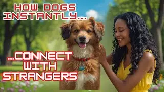 How Dogs Instantly Connect with Strangers