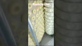 100KG/H Biscuit Production Line For Small Medium Business