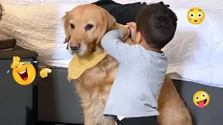 Hilarious Animal Videos 😹🐶 Funniest Dog Clips Compilation 🐾 #32