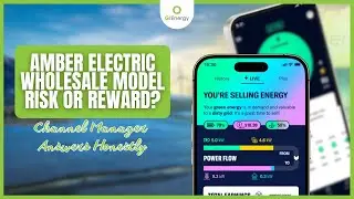 Amber Electric Wholesale Model: Risk or Reward? (Channel Manager Answers Honestly)