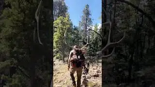 Hey! No Phones Allowed!  😆 #elkhunting #bowhunting