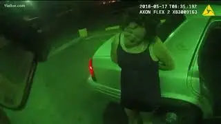 Coweta County deputy arrests woman after high-speed chase