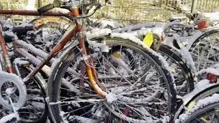 Used bicycles for sale/ Daily vlog.