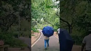 🍃 Journey into Nature&rsquo;s Heart#NatureWalkDay#LearningWithNature#shortvideos