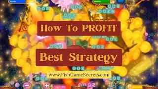 How To Beat Ocean King For A Profit Fish Game Secrets