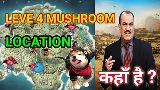 How to find level 4 mushroom in free fire | Leve 4 Mushroom Mission Complete in One Match | कहाँ है