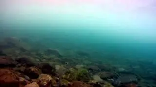 Plong&eacute;e plage Peyrefitte &agrave; Cerb&egrave;re (R&eacute;serve naturelle marine Cerb&egrave;re Banyuls)