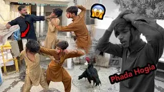 Ali Hussan Ka Phada Hogia  👊😡😱 Pigeon Ke Pichy 🫴 | Shahzad Aslam 