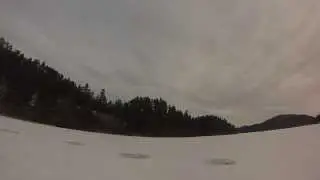 Stealing fish