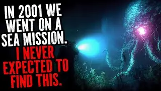 In 2001 I Went On A Diving Mission. I Never Expected To Find This.