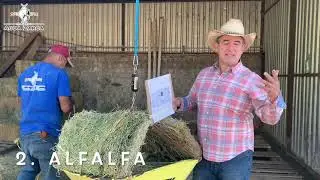 5 𝑷𝒖𝒏𝒕𝒐𝒔 𝑪𝒍𝒂𝒗𝒆 𝒅𝒆 𝒍𝒂 𝑵𝒖𝒕𝒓𝒊𝒄𝒊𝒐́𝒏 𝒆𝒏 𝑨𝒈𝒖𝒂 𝒁𝒂𝒓𝒄𝒂 🐴🐴🐴