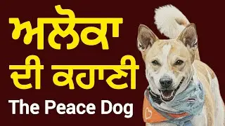 Story of Aloka-The Peace Dog | ਅਲੋਕਾ ਦੀ ਕਹਾਣੀ | | The Peace Dog |