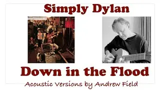 Down in the Flood