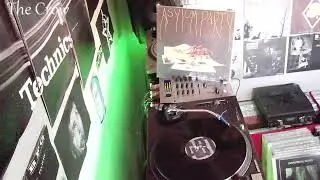 Asylum party-pure joy in my heart by The Crow
