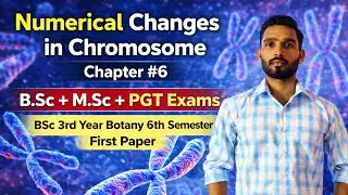 Numerical changes in chromosomes ( Polyploidy ) || BSc 3rd year Botany 6th Semester 1st Semester ￼