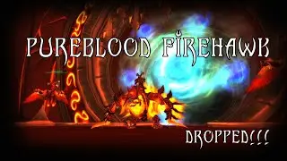 World of Warcraft Pureblood Fire Hawk Mount Drop