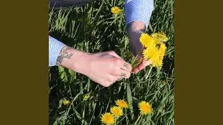 EgoTrip