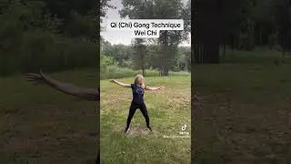 Qi Gong Technique Wei Chi