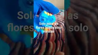 podre bunzo