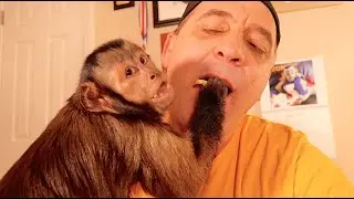 MonkeyBoo & Family 