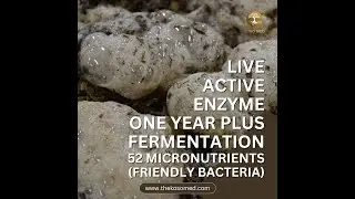 Koso Med &ndash; Traditional Japanese Fermentation | Live Enzymes, Probiotics & Powerful Nutrition 🌿🇯🇵