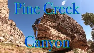 Pine Creek Canyon Trail Run