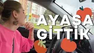 DOMATES ŞEHRİ