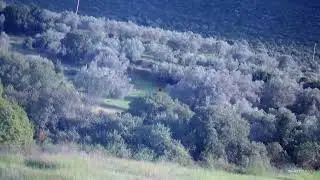 Τσίχλες με Shotkam 4 και ... αυτοσαρκασμό 😁
