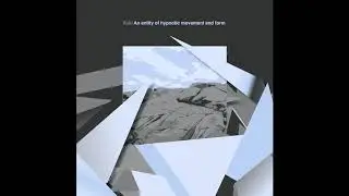 Xoki - Dampform