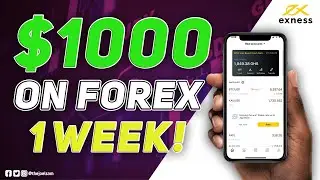 HOW I MADE GH₵1000 IN ONE WEEK TRADING FOREX || MY 2020 FOREX JOURNEY