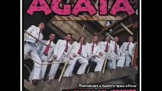 AGATA - La aceituna