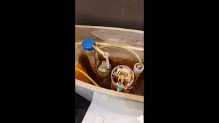 Pegasus Toilet Dual Flush Broken Handle Cable Fix