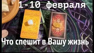 1-10 ФЕВРАЛЯ 🔔Что готовит СУДЬБА✅ Прогноз Таро/ Гадание на Судьбу/Гадание онлайн