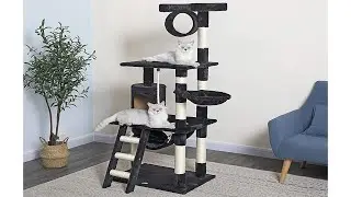 Best cat tree | Go Pet Club 62-Inch Cat Tree