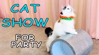 CAT SHOW for ONLINE Birthday Party for kids || THE SAVITSKY CATS