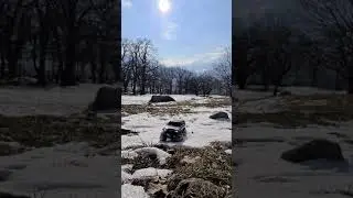 Mini Z 4X4