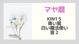 【マヤ暦】KIN15の運に愛される過ごし方♡