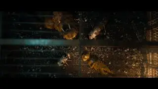 Marvel Studios' Guardians of the Galaxy Vol. 3  | Rocket