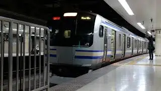 E217系 東京駅発車