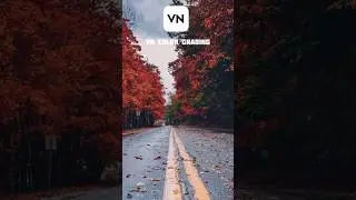 VN COLOR GRADING 🔥 #capcut #videoediting #shorts